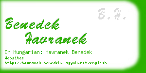 benedek havranek business card